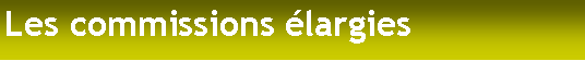 Zone de Texte: Les commissions élargies